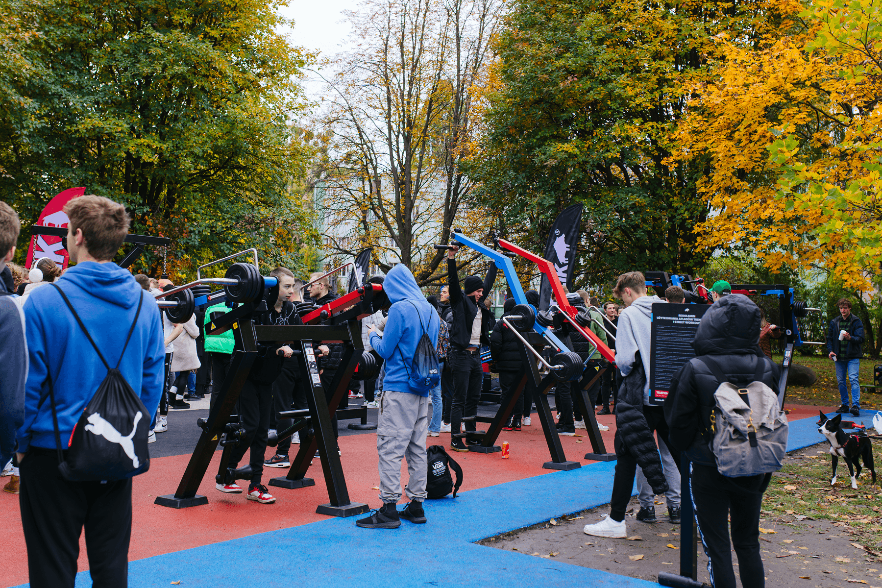 tłum na siłowni DZIK GYM