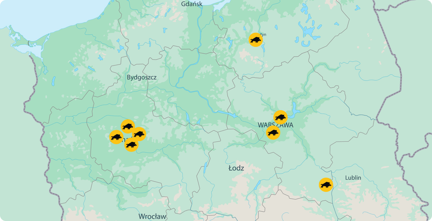 mapka aktualna